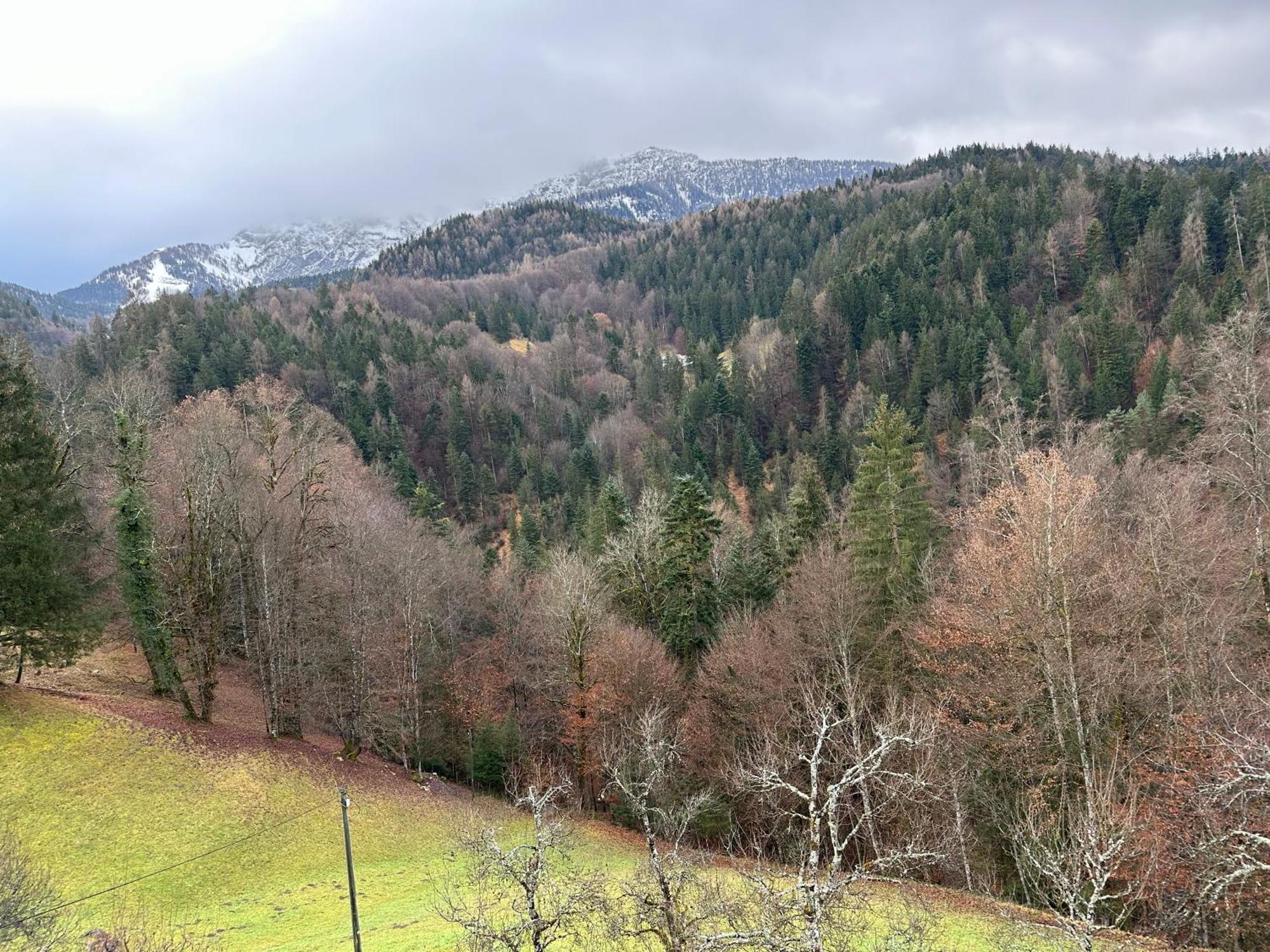 Bergbauernhof Leitenlehen Apartment Berchtesgaden
